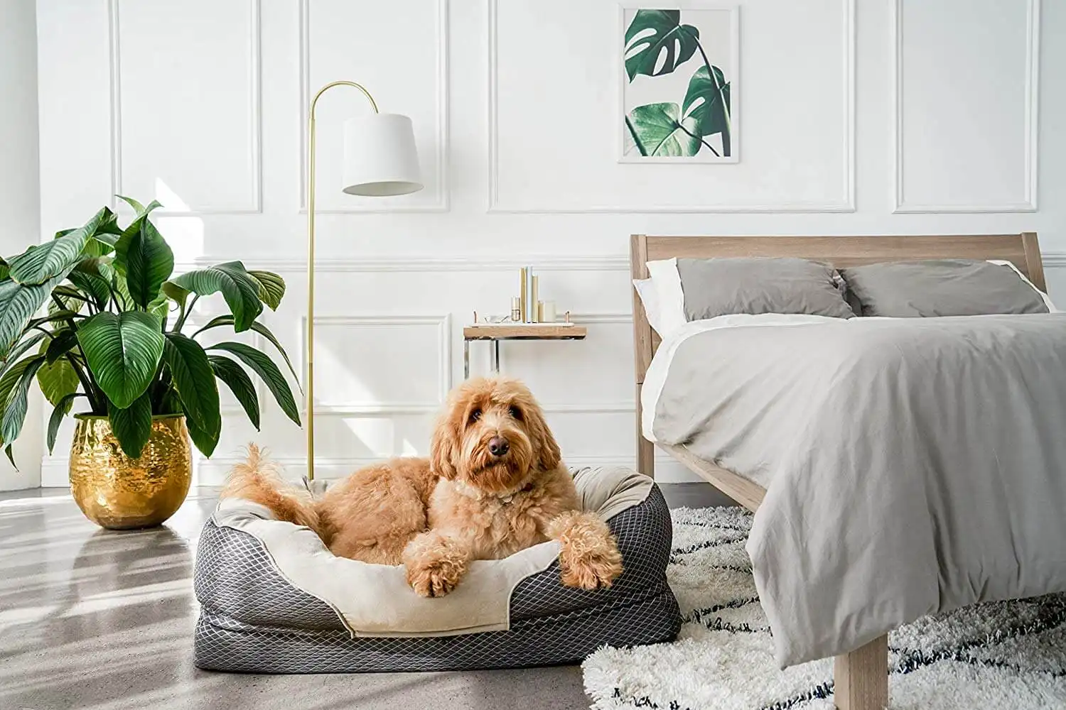 dog beds for small dogs