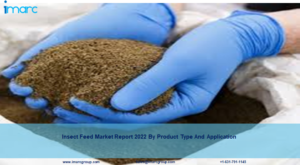 Insect Feed Market