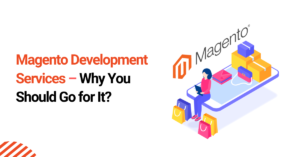 Magento Development Services – Who Needs Them?