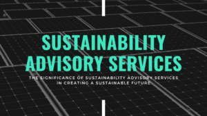 The Significance of Sustainability Advisory Services in Creating a Sustainable Future