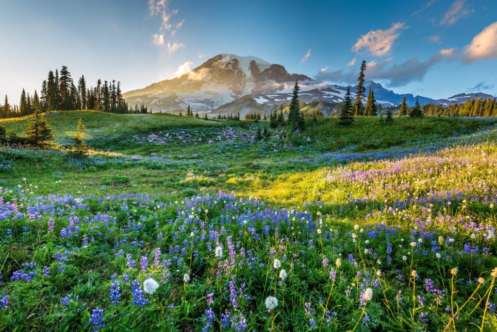 Amazing National Parks And Destinations In Texas For Beautiful Scenery, Epic Trails, And Wildlife Spotting? Amazing National Parks And Destinations In Texas For Beautiful Scenery, Epic Trails, And Wildlife Spotting?