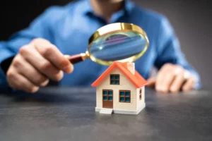 Don’t Wait Until It’s Too Late: The Importance of Early Pest Inspection