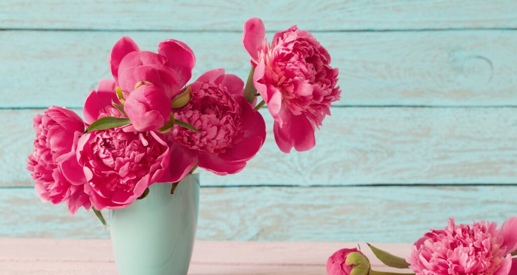 Top 5 Excellent And Superb Flowers For Your Lovely mom Top 5 Excellent And Superb Flowers For Your Lovely mom