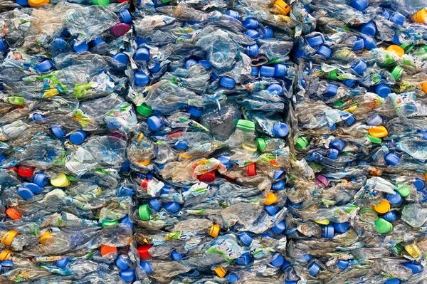plastic recycling in florida