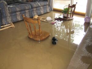 Preventing Water Damage in San Tan Valley: Tips and Tricks
